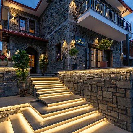 Floara Di Munte Forest Luxury Suites Metsovo Bagian luar foto