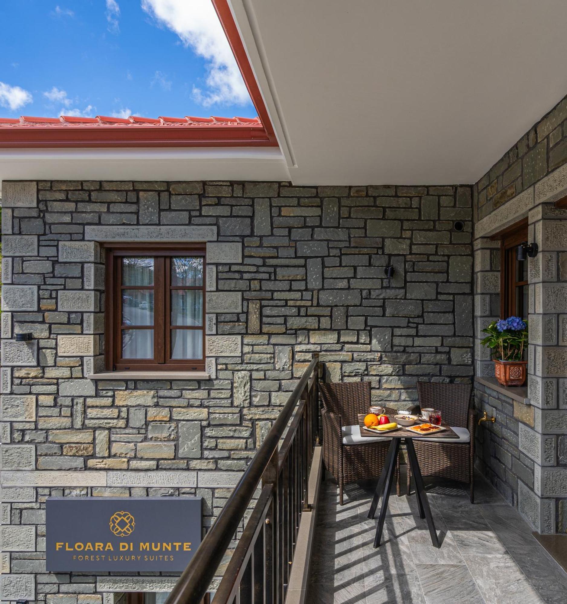 Floara Di Munte Forest Luxury Suites Metsovo Bagian luar foto