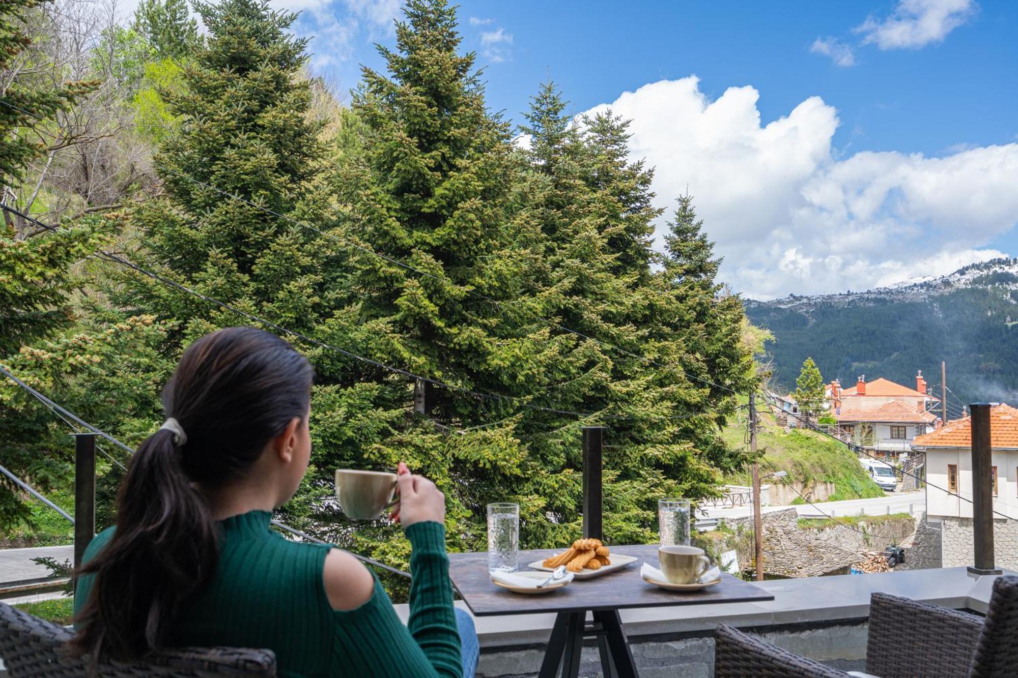 Floara Di Munte Forest Luxury Suites Metsovo Bagian luar foto